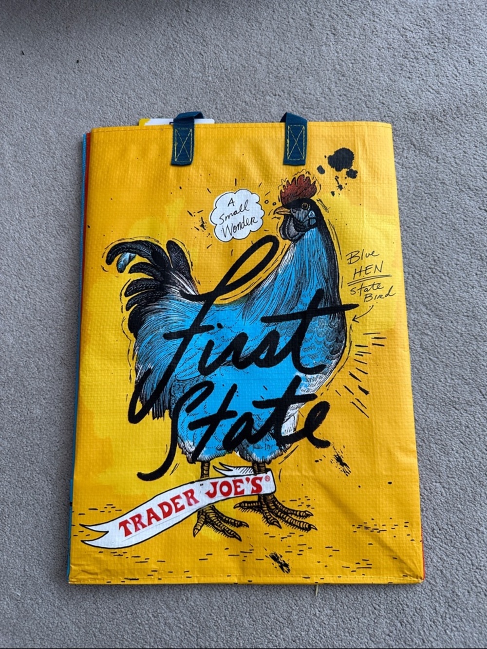 Trader Joe's mystery bag - Delaware - NWT